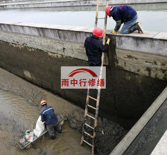 枣庄污水池变形缝堵漏